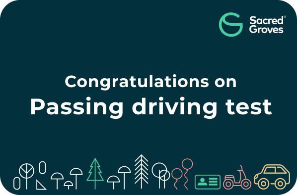 Passed Driving Test02